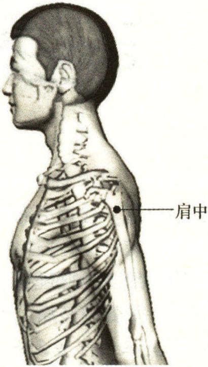 肩ㄩˊ穴|肩髃穴的准确位置图和作用